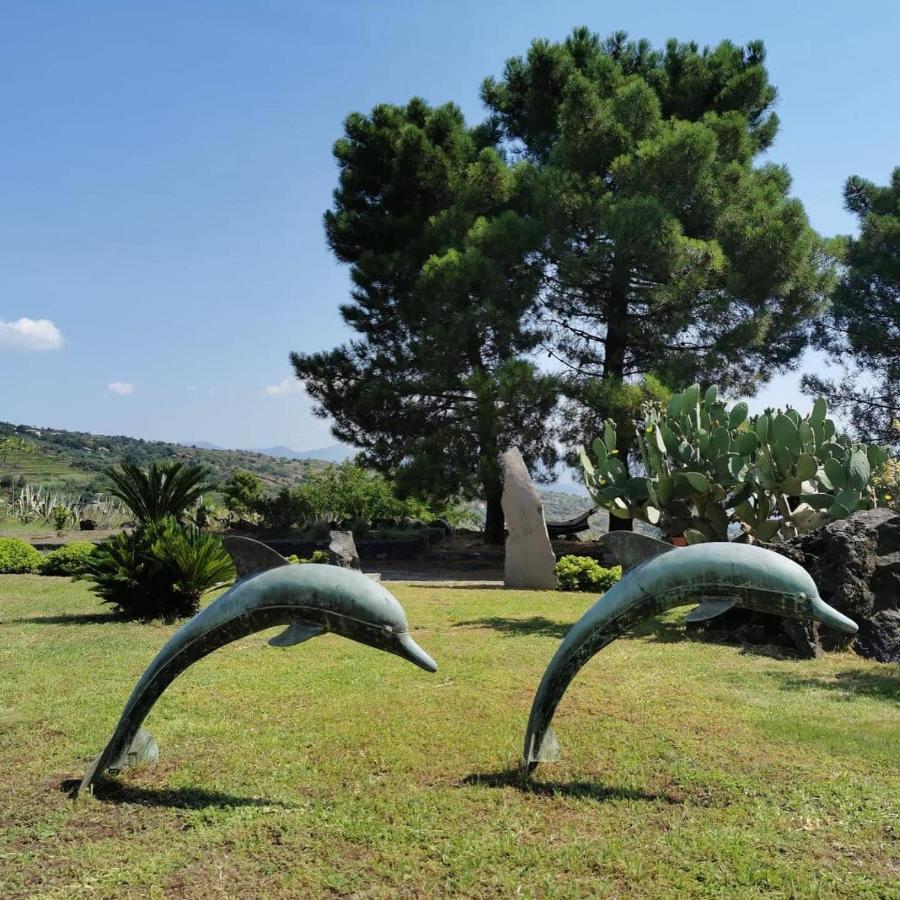 Villa Alessio - Case Vacanza Con Piscina Sull'Etna Puntalazzo 외부 사진