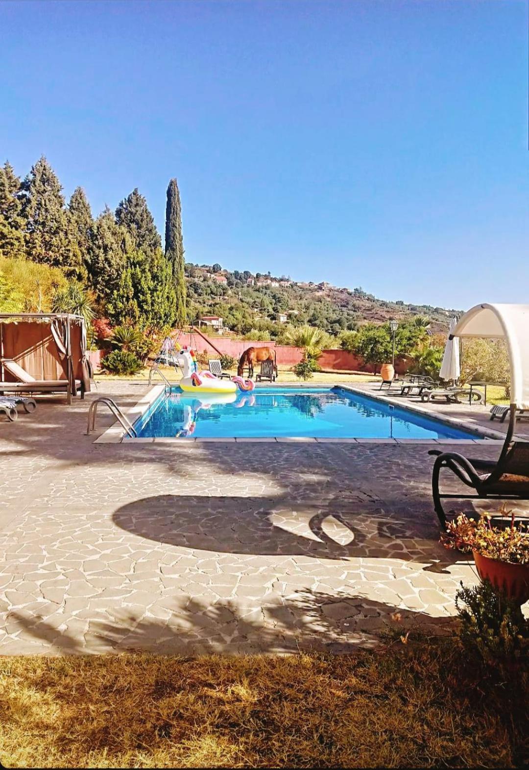 Villa Alessio - Case Vacanza Con Piscina Sull'Etna Puntalazzo 외부 사진